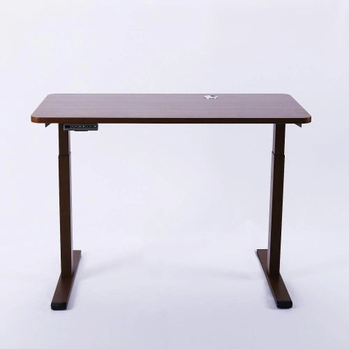 Pro Ergonomic Standing Desk - 1400x700mm, Dual Motors, 4 Programmable Presets - Adjustable Height, Stable, and Heavy-Duty With 2 USB